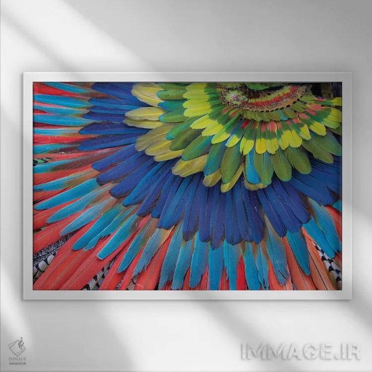 تابلو Mexico. Native feather headdress,سن میگل د آلنده، مکزیک. دستار پر بومی اثر دارل گالین - نمای قابدار سفید