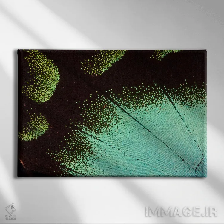 تابلو عکاسی ماکرو از بال پروانه شماره نه اثر دارل گالین - نمای روبهرو روی دیوار