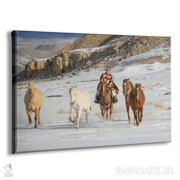 تابلو Shell, Wyoming Hideout Ranch Cowboy Riding And Herding Horses In Snow,آمریکا، شل، وایومینگ، کابوی در مزرعه هایدآوت در حال سواری و راندن اسبها در برف اثر دارل گالین - نمای پرسپکتیو محصول