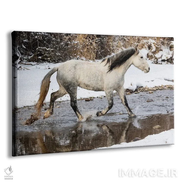تابلو Shell, Wyoming Hideout Ranch Lone Horse In Snow,آمریکا، شل، وایومینگ، اسب تنها در برف اثر دارل گالین - نمای پرسپکتیو محصول