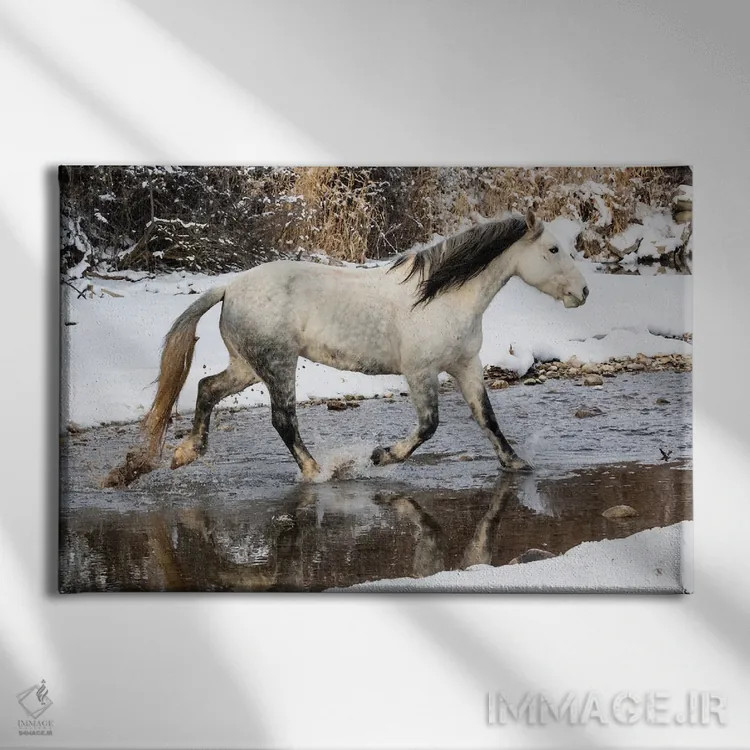 تابلو Shell, Wyoming Hideout Ranch Lone Horse In Snow,آمریکا، شل، وایومینگ، اسب تنها در برف اثر دارل گالین - نمای روبهرو روی دیوار