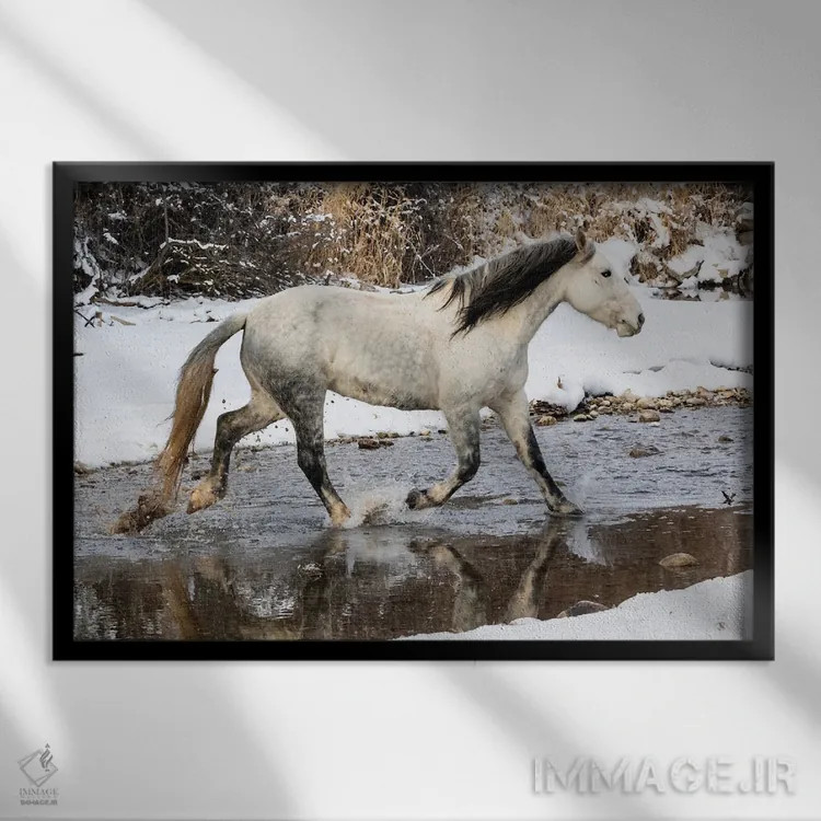 تابلو Shell, Wyoming Hideout Ranch Lone Horse In Snow,آمریکا، شل، وایومینگ، اسب تنها در برف اثر دارل گالین - نمای قابدار مشکی
