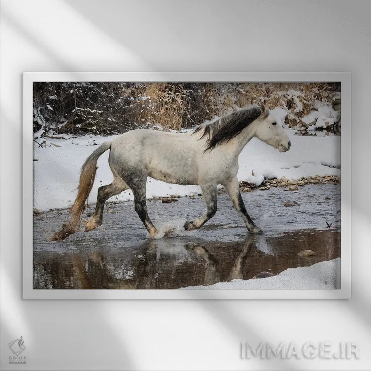تابلو Shell, Wyoming Hideout Ranch Lone Horse In Snow,آمریکا، شل، وایومینگ، اسب تنها در برف اثر دارل گالین - نمای قابدار سفید