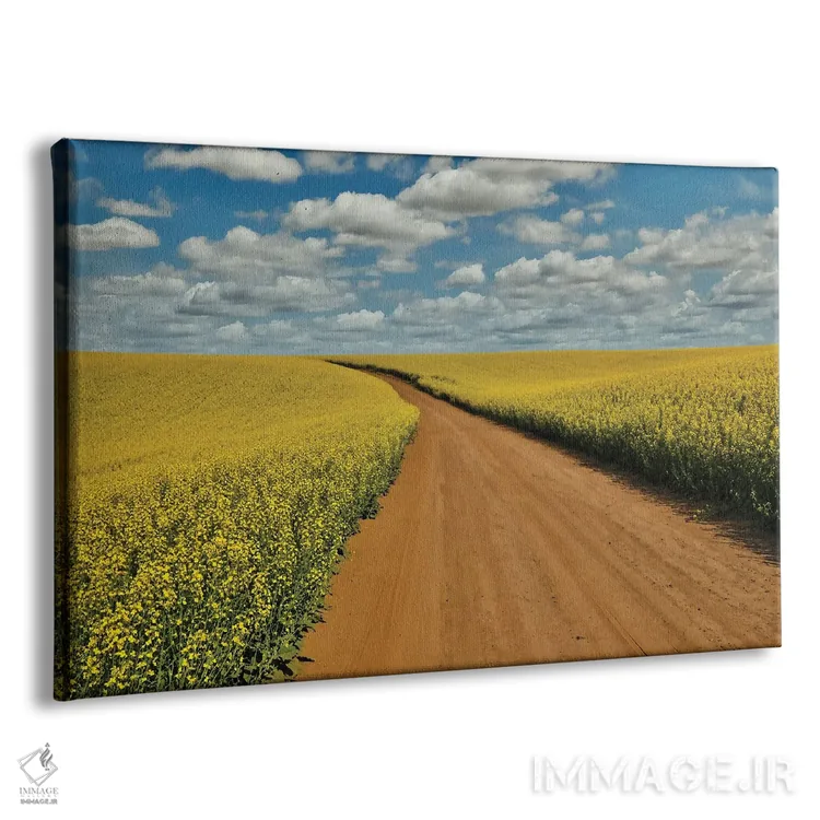 تابلو Washington State, Palouse Springtime Landscape Dirt Roadway And Canola Fields,آمریکا، واشنگتن، چشمانداز بهاری پالووس، جاده خاکی و مزارع کانولا اثر دارل گالین - نمای پرسپکتیو محصول
