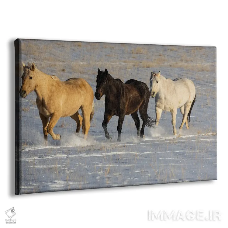 تابلو Shell, Wyoming Hideout Ranch With Small Herd Of Horses In Snow I,آمریکا، شل، وایومینگ، مزرعه با گله کوچک اسب در برف ۱ اثر دارل گالین - نمای پرسپکتیو محصول