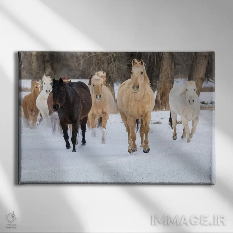 تابلو Shell, Wyoming Hideout Ranch With Small Herd Of Horses In Snow II,آمریکا، شل، وایومینگ، مزرعه با گله کوچک اسب در برف ۲ اثر دارل گالین - نمای روبهرو روی دیوار