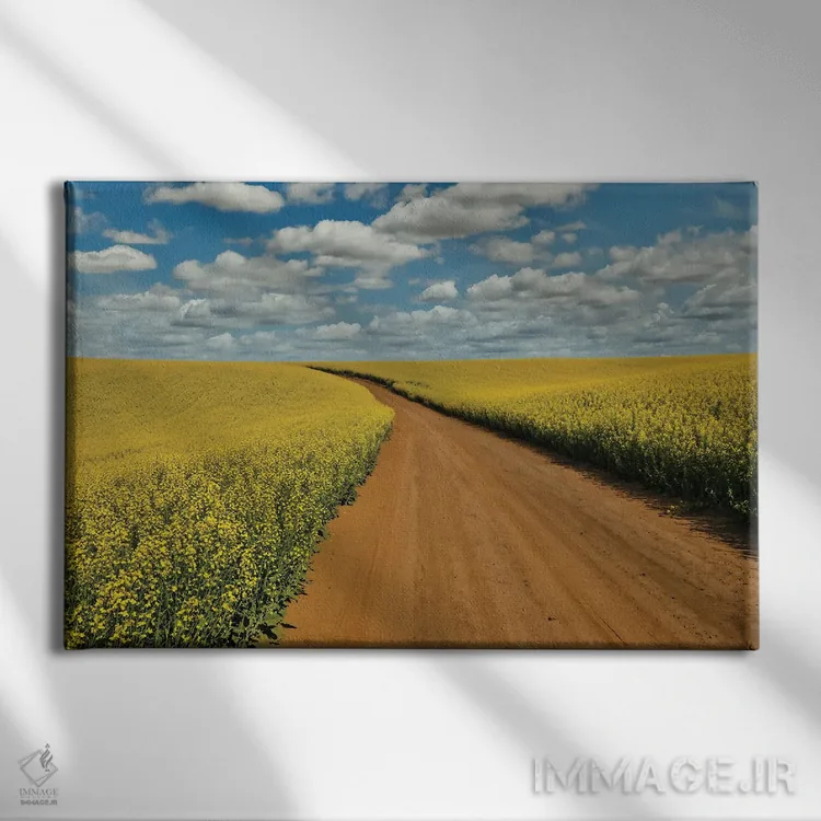 تابلو Washington State, Palouse Springtime Landscape Dirt Roadway And Canola Fields,آمریکا، واشنگتن، چشمانداز بهاری پالووس، جاده خاکی و مزارع کانولا اثر دارل گالین - نمای روبهرو روی دیوار