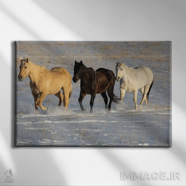 تابلو Shell, Wyoming Hideout Ranch With Small Herd Of Horses In Snow I,آمریکا، شل، وایومینگ، مزرعه با گله کوچک اسب در برف ۱ اثر دارل گالین - نمای روبهرو روی دیوار