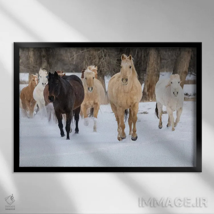 تابلو Shell, Wyoming Hideout Ranch With Small Herd Of Horses In Snow II,آمریکا، شل، وایومینگ، مزرعه با گله کوچک اسب در برف ۲ اثر دارل گالین - نمای قابدار مشکی