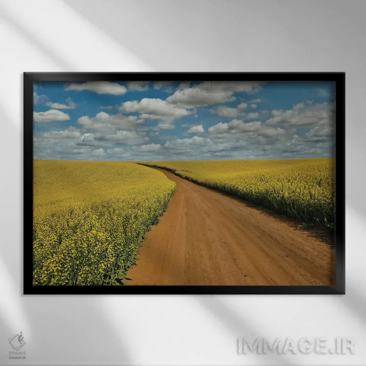 تابلو Washington State, Palouse Springtime Landscape Dirt Roadway And Canola Fields,آمریکا، واشنگتن، چشمانداز بهاری پالووس، جاده خاکی و مزارع کانولا اثر دارل گالین - نمای قابدار مشکی