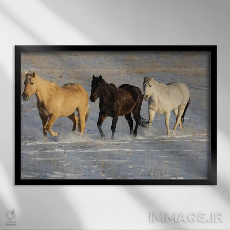 تابلو Shell, Wyoming Hideout Ranch With Small Herd Of Horses In Snow I,آمریکا، شل، وایومینگ، مزرعه با گله کوچک اسب در برف ۱ اثر دارل گالین - نمای قابدار مشکی