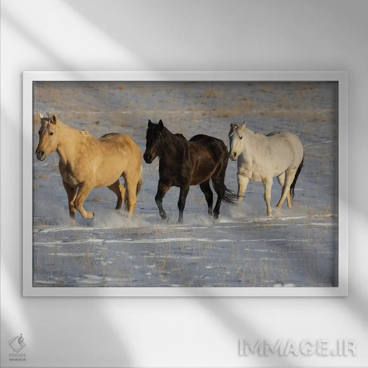 تابلو Shell, Wyoming Hideout Ranch With Small Herd Of Horses In Snow I,آمریکا، شل، وایومینگ، مزرعه با گله کوچک اسب در برف ۱ اثر دارل گالین - نمای قابدار سفید