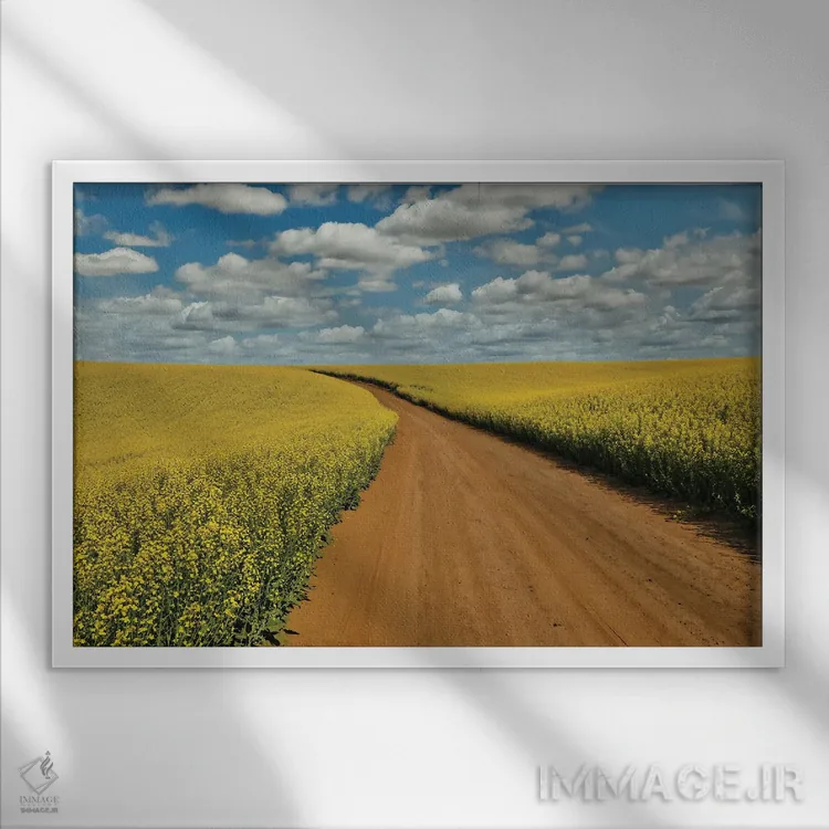 تابلو Washington State, Palouse Springtime Landscape Dirt Roadway And Canola Fields,آمریکا، واشنگتن، چشمانداز بهاری پالووس، جاده خاکی و مزارع کانولا اثر دارل گالین - نمای قابدار سفید