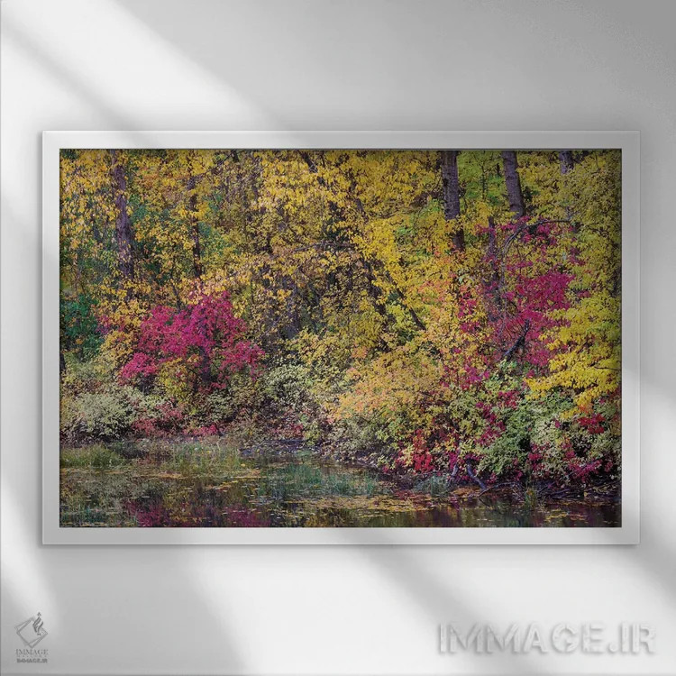 تابلو Washington State, Small Pond Near Easton Surrounded By Fall Colored Trees,آمریکا، واشنگتن، برکهای کوچک نزدیک ایستون محصور با درختان رنگارنگ پاییزی اثر دارل گالین - نمای قابدار سفید