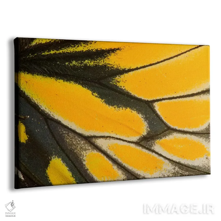 تابلو عکاسی ماکرو از بال پروانه شماره بیستودو اثر دارل گالین - نمای پرسپکتیو محصول