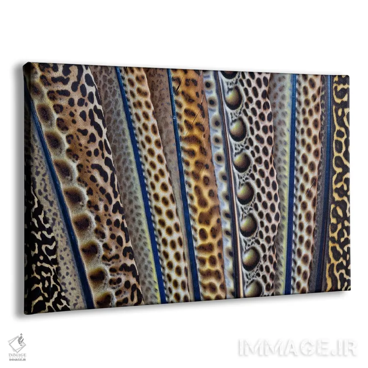 تابلو عکاسی ماکرو از بال پروانه شماره بیستوچهار اثر دارل گالین - نمای پرسپکتیو محصول