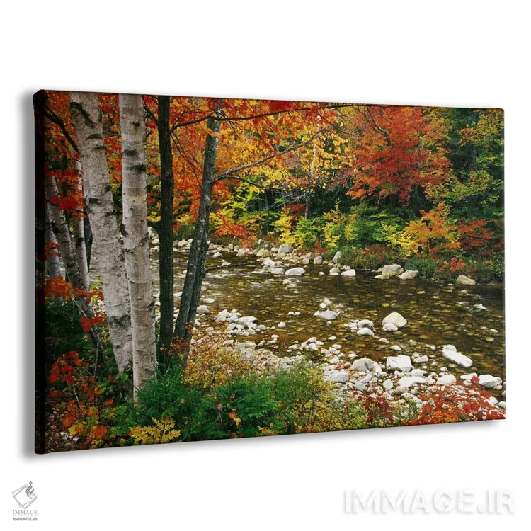 تابلو Swift River, White Mountains, New Hampshire, USA,منظره پاییزی، رودخانه سوئیفت، رشتهکوه وایت، نیوهمپشایر، آمریکا اثر دارل گالین - نمای پرسپکتیو محصول
