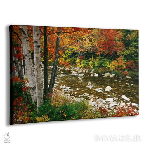 تابلو Swift River, White Mountains, New Hampshire, USA,منظره پاییزی، رودخانه سوئیفت، رشتهکوه وایت، نیوهمپشایر، آمریکا اثر دارل گالین - نمای پرسپکتیو محصول