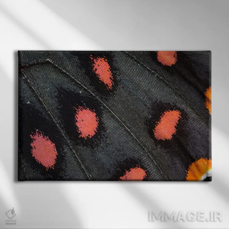 تابلو عکاسی ماکرو از بال پروانه شماره بیستونه اثر دارل گالین - نمای روبهرو روی دیوار