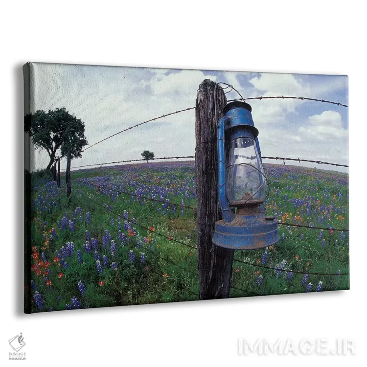 تابلو Lytle, Texas, USA,نمای واید از فانوس آبی روی تیرک سیمخاردار در مزرعه گلهای وحشی، لیتل، تگزاس، آمریکا اثر دارل گالین - نمای پرسپکتیو محصول