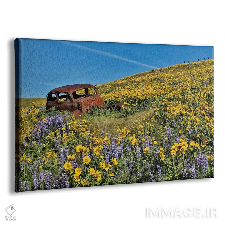 تابلو Dalles Mountain Ranch State Park, Washington State II,ماشین رها شده در گلهای وحشی بهاری، پارک ایالتی دالز مانتین رنچ، واشنگتن ۲ اثر دارل گالین - نمای پرسپکتیو محصول