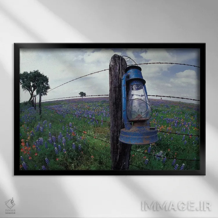 تابلو Lytle, Texas, USA,نمای واید از فانوس آبی روی تیرک سیمخاردار در مزرعه گلهای وحشی، لیتل، تگزاس، آمریکا اثر دارل گالین - نمای قابدار مشکی