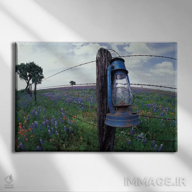 تابلو Lytle, Texas, USA,نمای واید از فانوس آبی روی تیرک سیمخاردار در مزرعه گلهای وحشی، لیتل، تگزاس، آمریکا اثر دارل گالین - نمای روبهرو روی دیوار