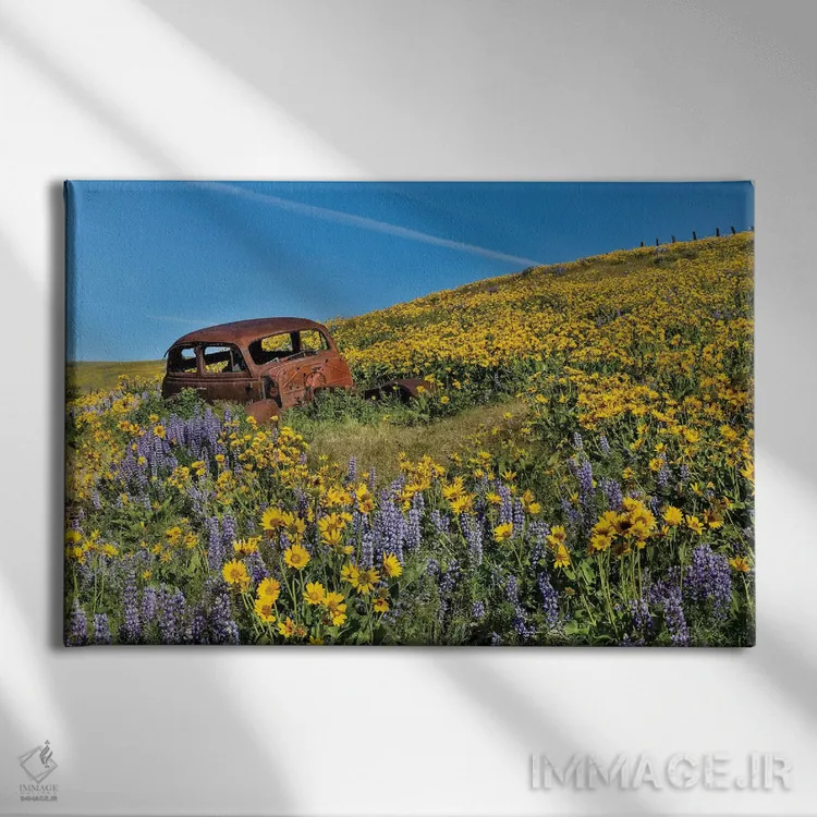 تابلو Dalles Mountain Ranch State Park, Washington State II,ماشین رها شده در گلهای وحشی بهاری، پارک ایالتی دالز مانتین رنچ، واشنگتن ۲ اثر دارل گالین - نمای روبهرو روی دیوار