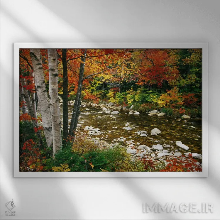 تابلو Swift River, White Mountains, New Hampshire, USA,منظره پاییزی، رودخانه سوئیفت، رشتهکوه وایت، نیوهمپشایر، آمریکا اثر دارل گالین - نمای قابدار سفید