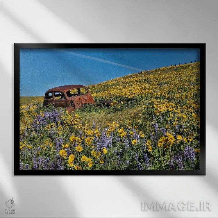 تابلو Dalles Mountain Ranch State Park, Washington State II,ماشین رها شده در گلهای وحشی بهاری، پارک ایالتی دالز مانتین رنچ، واشنگتن ۲ اثر دارل گالین - نمای قابدار مشکی