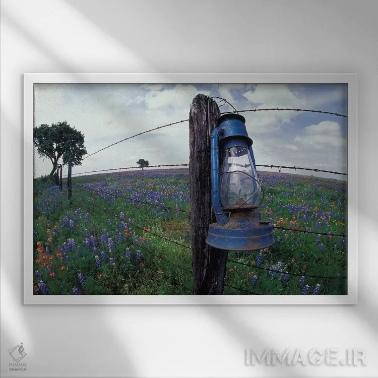 تابلو Lytle, Texas, USA,نمای واید از فانوس آبی روی تیرک سیمخاردار در مزرعه گلهای وحشی، لیتل، تگزاس، آمریکا اثر دارل گالین - نمای قابدار سفید