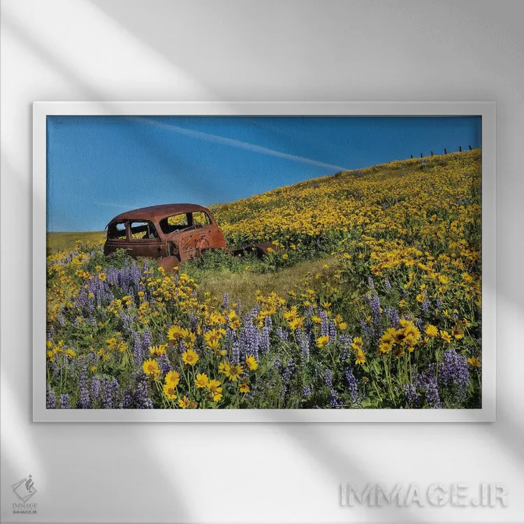 تابلو Dalles Mountain Ranch State Park, Washington State II,ماشین رها شده در گلهای وحشی بهاری، پارک ایالتی دالز مانتین رنچ، واشنگتن ۲ اثر دارل گالین - نمای قابدار سفید