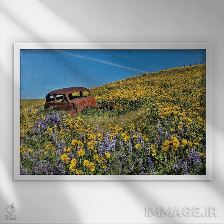 تابلو Dalles Mountain Ranch State Park, Washington State II,ماشین رها شده در گلهای وحشی بهاری، پارک ایالتی دالز مانتین رنچ، واشنگتن ۲ اثر دارل گالین - نمای قابدار سفید