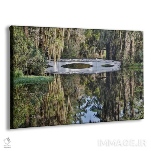 تابلو Charleston, South Carolina,پل گذر بر آبگیر با شکوفههای آزالیا در بهار، چارلستون، کارولینای جنوبی اثر دارل گالین - نمای پرسپکتیو محصول