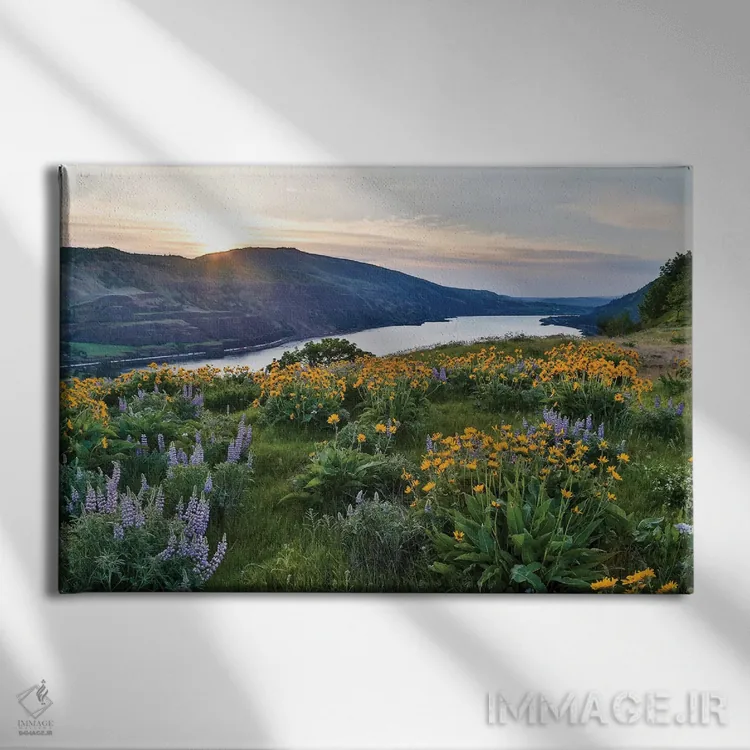تابلو Oregon,مزارع بالزام روت و لوپین روی تپههای بالای رود کلومبیا روئینا، اورگون اثر دارل گالین - نمای روبهرو روی دیوار