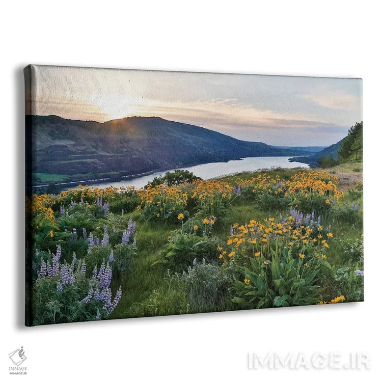 تابلو Oregon,مزارع بالزام روت و لوپین روی تپههای بالای رود کلومبیا روئینا، اورگون اثر دارل گالین - نمای پرسپکتیو محصول