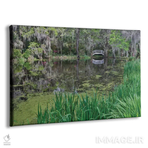 تابلو Charleston, South Carolina, with white arched bridge.,شکوفهدهی آزالیا در بهار، چارلستون، کارولینای جنوبی، همراه پل سفید قوسی شکل اثر دارل گالین - نمای پرسپکتیو محصول