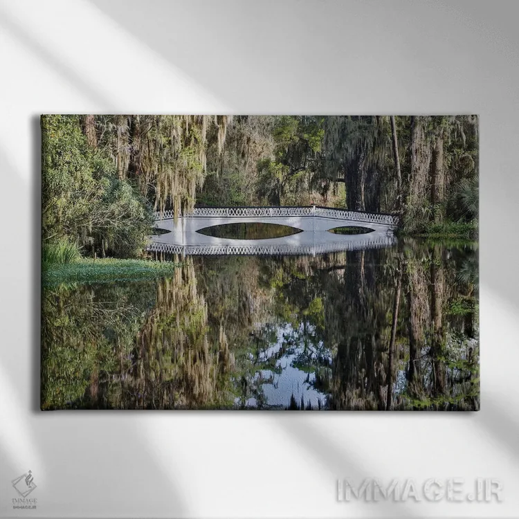 تابلو Charleston, South Carolina,پل گذر بر آبگیر با شکوفههای آزالیا در بهار، چارلستون، کارولینای جنوبی اثر دارل گالین - نمای روبهرو روی دیوار