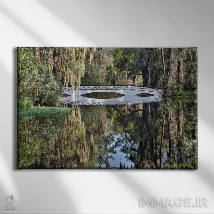 تابلو Charleston, South Carolina,پل گذر بر آبگیر با شکوفههای آزالیا در بهار، چارلستون، کارولینای جنوبی اثر دارل گالین - نمای روبهرو روی دیوار