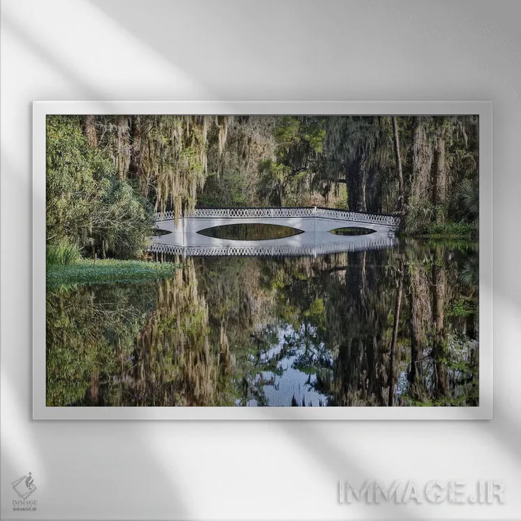 تابلو Charleston, South Carolina,پل گذر بر آبگیر با شکوفههای آزالیا در بهار، چارلستون، کارولینای جنوبی اثر دارل گالین - نمای قابدار سفید