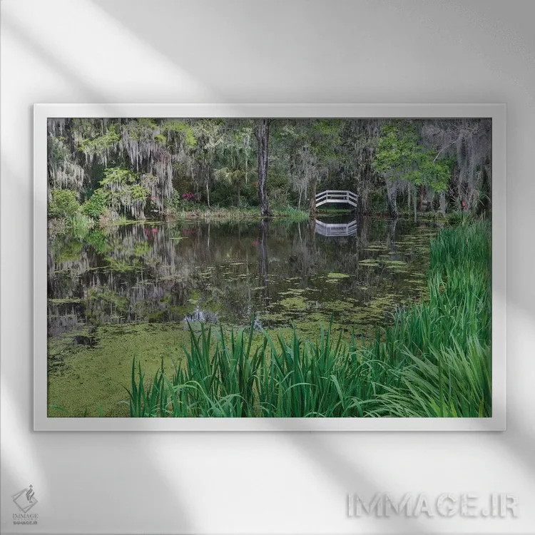 تابلو Charleston, South Carolina, with white arched bridge.,شکوفهدهی آزالیا در بهار، چارلستون، کارولینای جنوبی، همراه پل سفید قوسی شکل اثر دارل گالین - نمای قابدار سفید