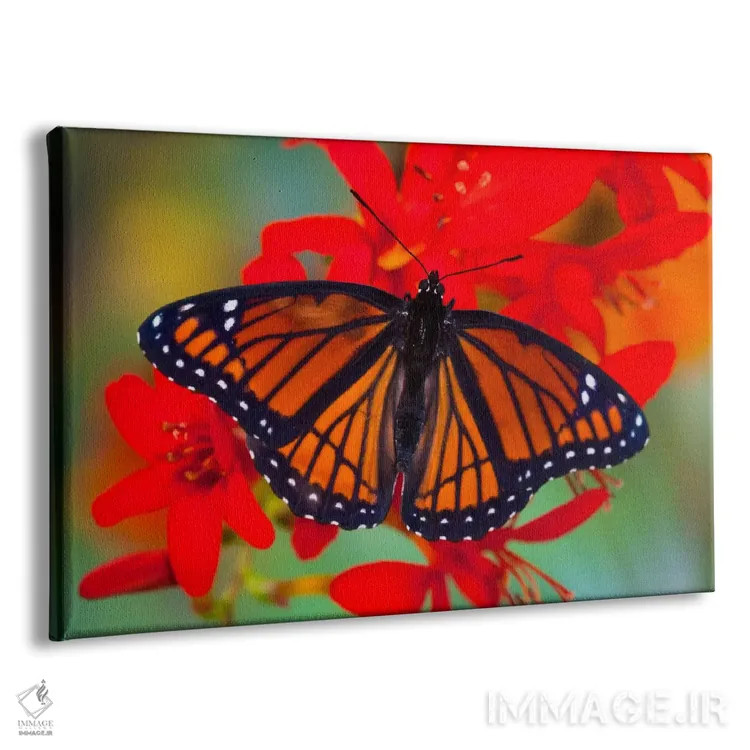 تابلو پروانه وایسرُوی با بالهای باز در میان کروکوزمیا (لوکیفرها) (نمای نزدیک) اثر دارل گالین - نمای پرسپکتیو محصول