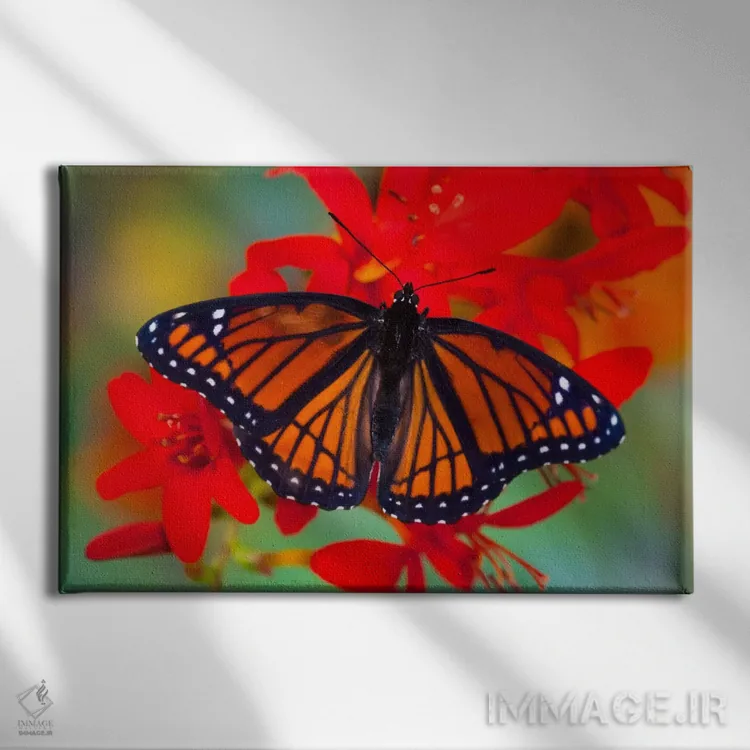 تابلو پروانه وایسرُوی با بالهای باز در میان کروکوزمیا (لوکیفرها) (نمای نزدیک) اثر دارل گالین - نمای روبهرو روی دیوار