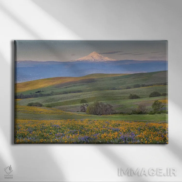 تابلو Dalles Mountain Ranch State Park, Washington State,طلوع خورشید و کوه هود با گلهای وحشی بهاری، پارک ایالتی دالز مانتین رنچ، واشنگتن اثر دارل گالین - نمای روبهرو روی دیوار