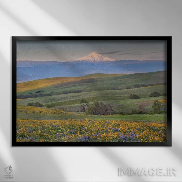 تابلو Dalles Mountain Ranch State Park, Washington State,طلوع خورشید و کوه هود با گلهای وحشی بهاری، پارک ایالتی دالز مانتین رنچ، واشنگتن اثر دارل گالین - نمای قابدار مشکی