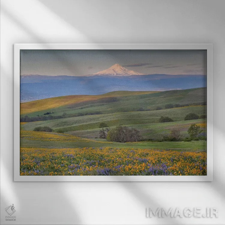 تابلو Dalles Mountain Ranch State Park, Washington State,طلوع خورشید و کوه هود با گلهای وحشی بهاری، پارک ایالتی دالز مانتین رنچ، واشنگتن اثر دارل گالین - نمای قابدار سفید