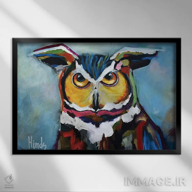 تابلو آقای جغد اثر دیویدای هینْدز - نمای قابدار مشکی