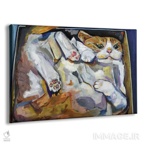 تابلو گربه در جعبه اثر دیویدای هینْدز - نمای پرسپکتیو محصول