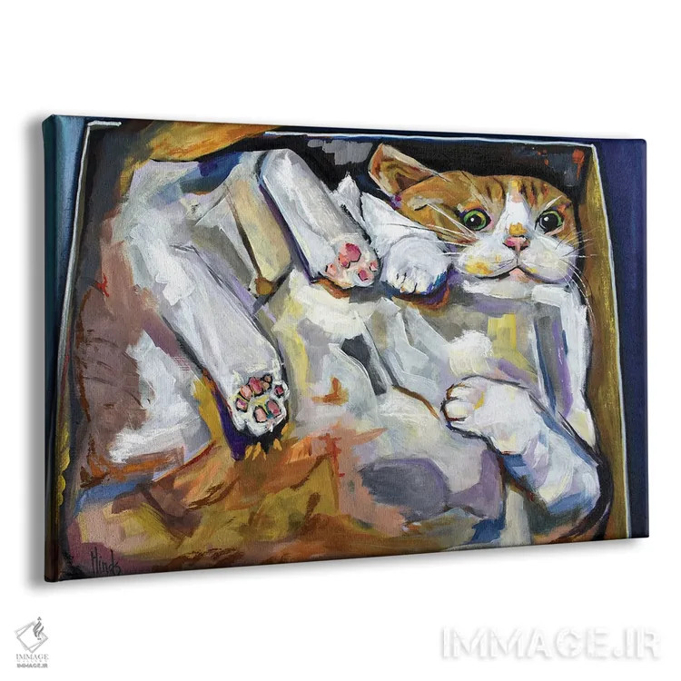 تابلو گربه در جعبه اثر دیویدای هینْدز - نمای پرسپکتیو محصول