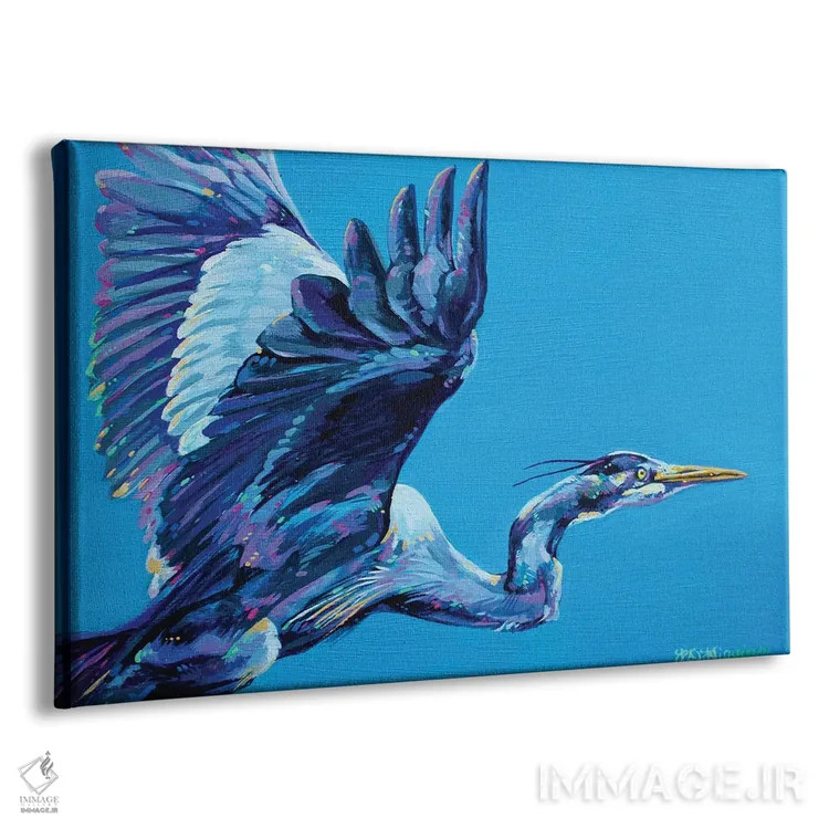 تابلو حواصیل آبی اثر دریک هیگینز - نمای پرسپکتیو محصول